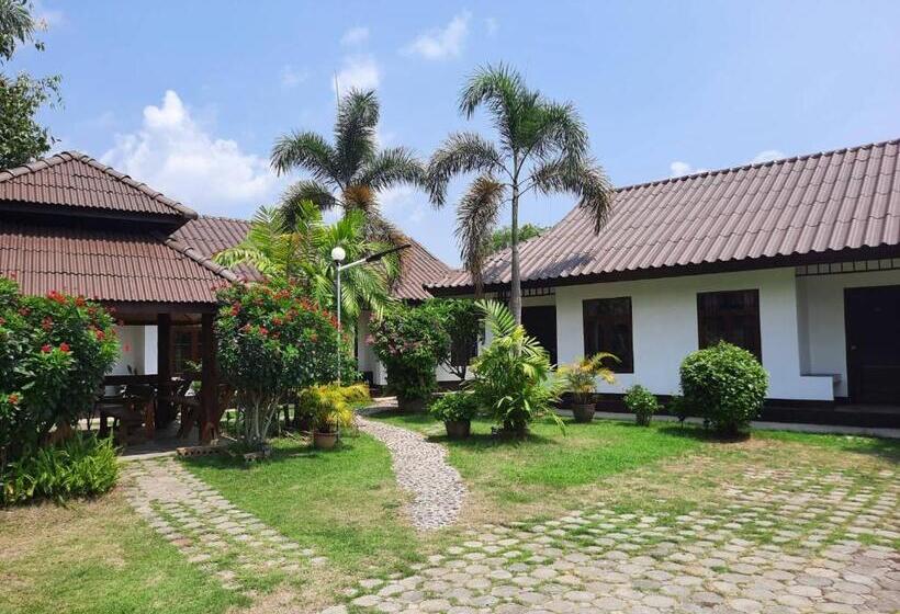 בית מלון כפרי Pailifornia