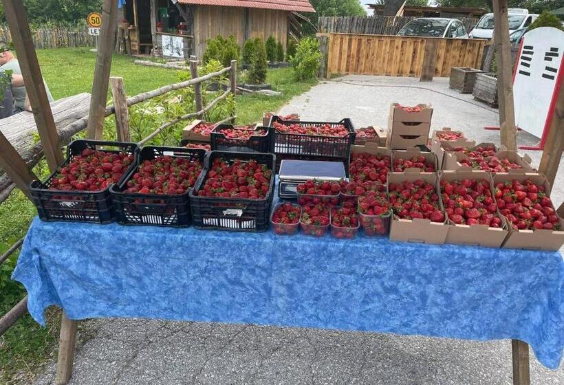 هتل Planinski Dom Janče