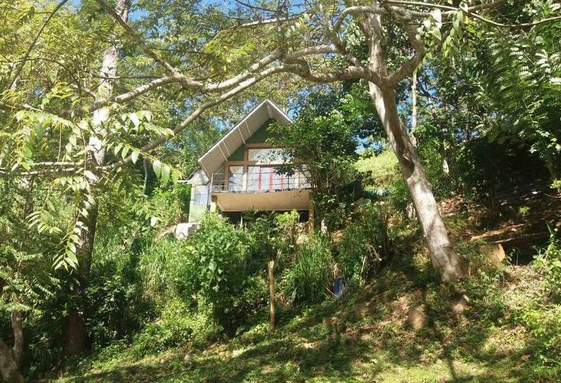 ホテル The Wild  Cottage By The River