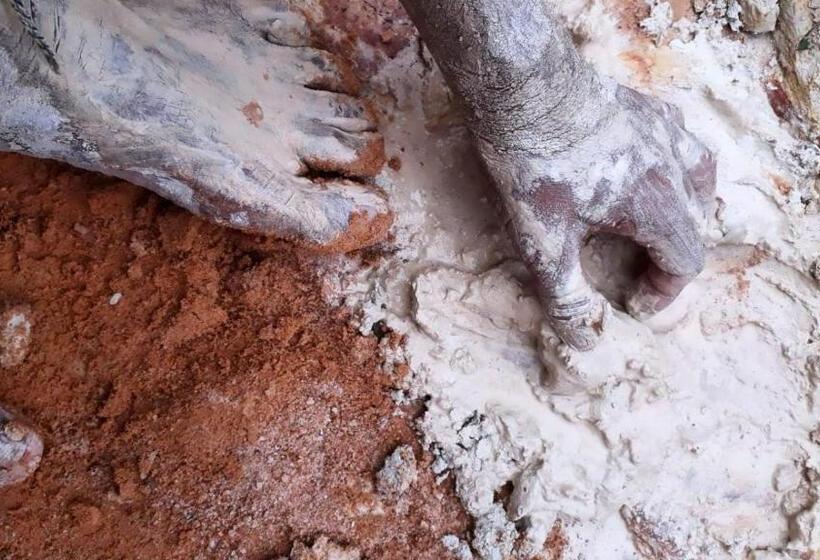 Pelados Beach Hostel