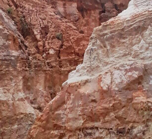 Pelados Beach Hostel