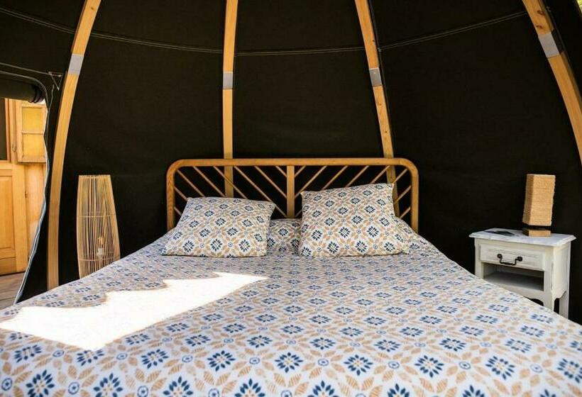 膳宿费 Bulles D Olive Bulle Provence