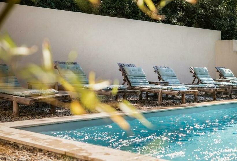 膳宿费 Bulles D Olive Bulle Provence