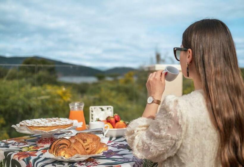 膳宿费 Villa Solymar