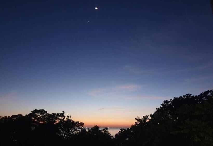 Tommy Resort Koh Tao