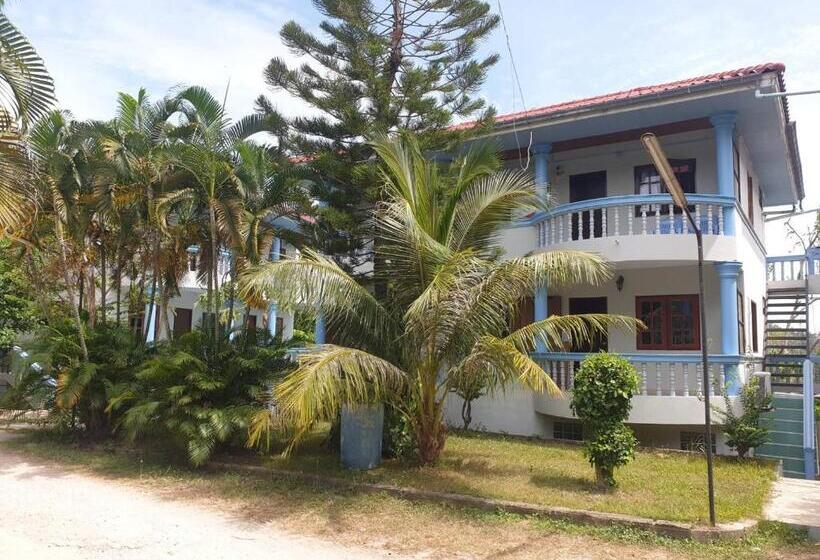 Tommy Resort Koh Tao