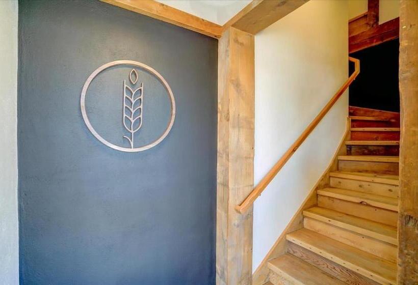 הוסטל 201  Single Queen