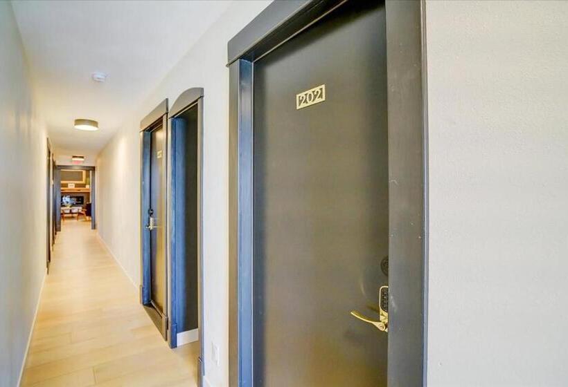 فندق صغير 202   Single Queen