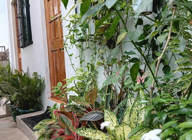 هاستل Susing Seaside Guesthouse