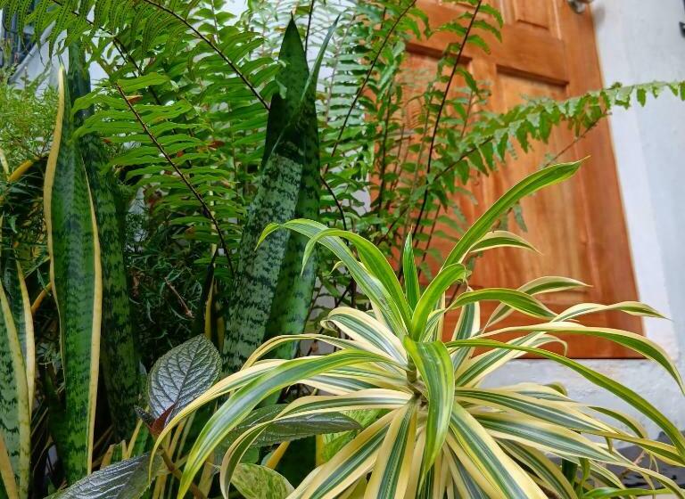 هاستل Susing Seaside Guesthouse