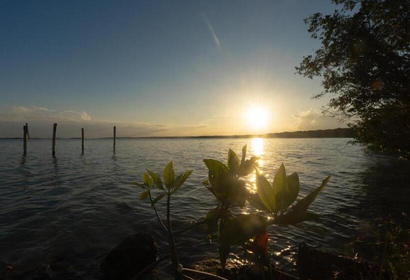 Bed and Breakfast Casa Vive Bacalar