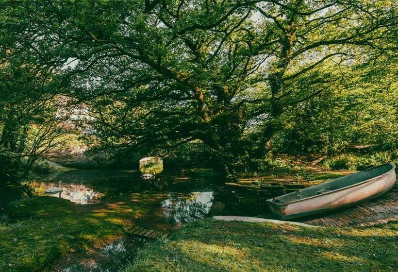 ベッドアンドブレックファースト Wellies & Waves