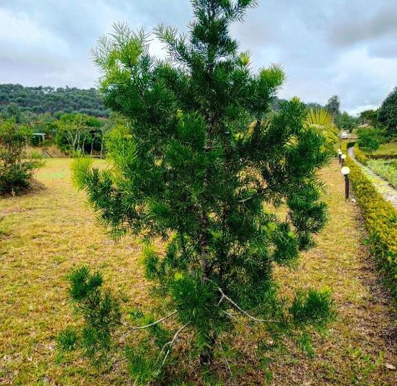 Hotell Andasibe Sifaka Lodge