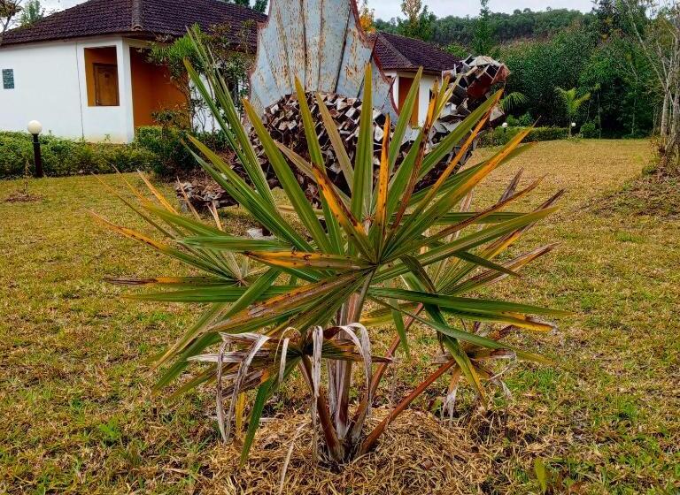 Hotell Andasibe Sifaka Lodge