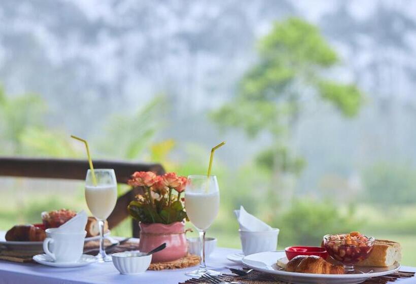 Hotell Andasibe Sifaka Lodge