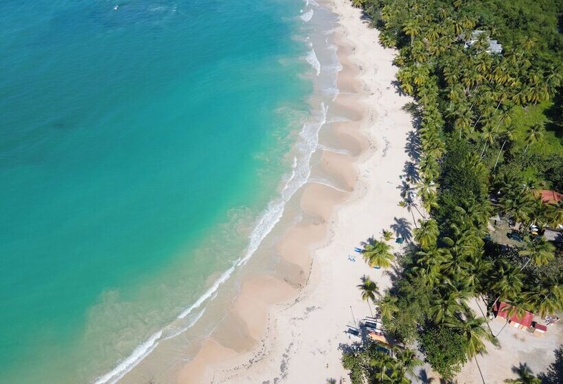 בית מלון כפרי Chill Boutique