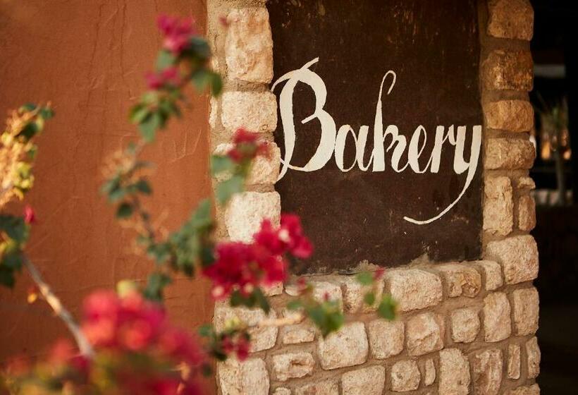 酒店 Solitaire Lodge