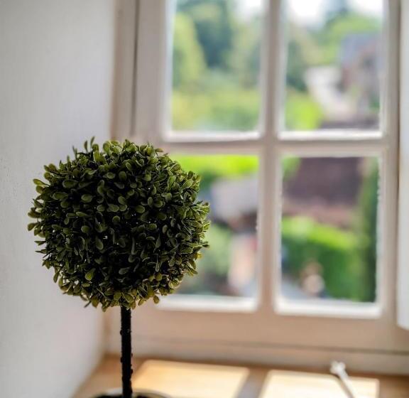 بنسيون Château De Vassinhac Chambres D Hôtes Collonges La Rouge