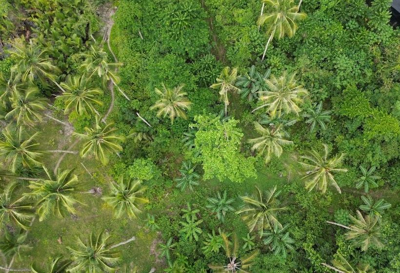 Bakawan Hideaway Resort And Restaurant