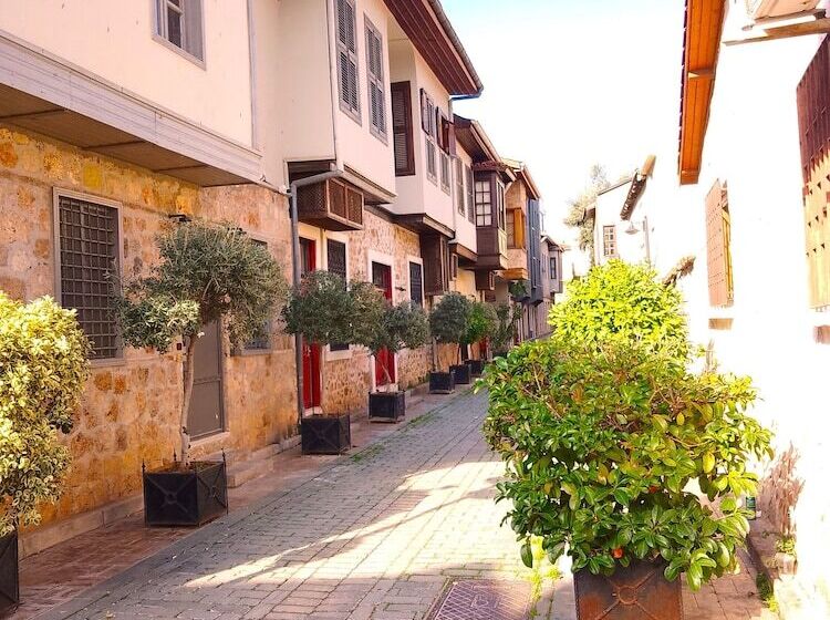 酒店 Alp Pasa Gazetta Special Class