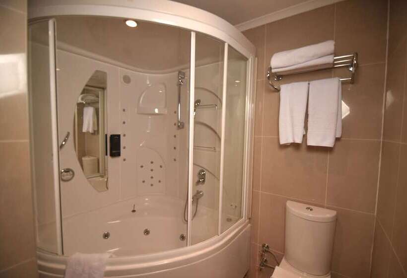 酒店 Alp Pasa Gazetta Special Class