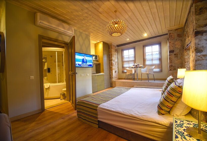 酒店 Alp Pasa Gazetta Special Class