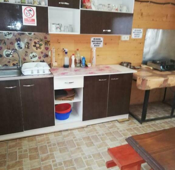 Pensiune Cristina Lacu Rosu