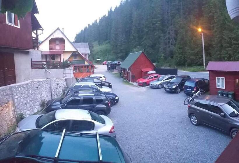 Pensiune Cristina Lacu Rosu