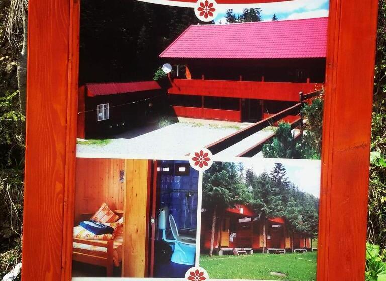 Pensiune Cristina Lacu Rosu