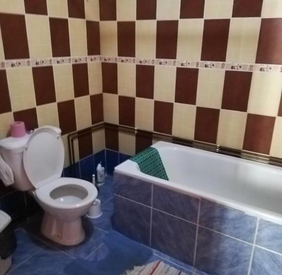 Pensiune Cristina Lacu Rosu