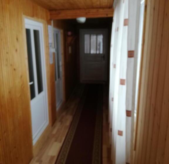 Pensiune Cristina Lacu Rosu