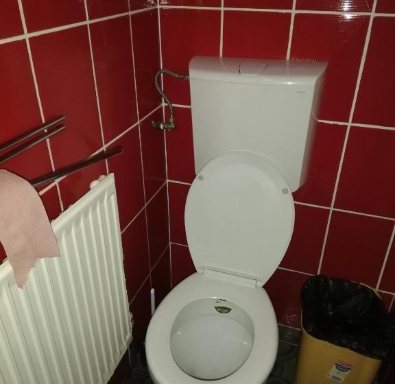 Pensiune Cristina Lacu Rosu