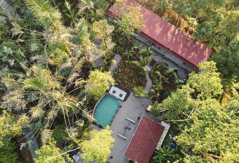 리조트 Daydream Lodge