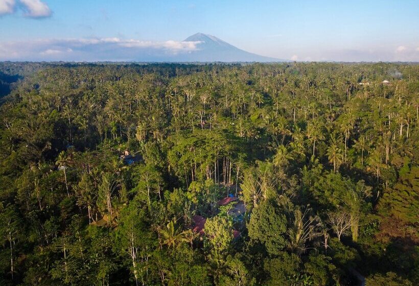 אתר נופש Daydream Lodge