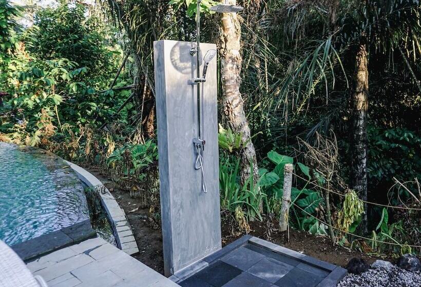 אתר נופש Daydream Lodge