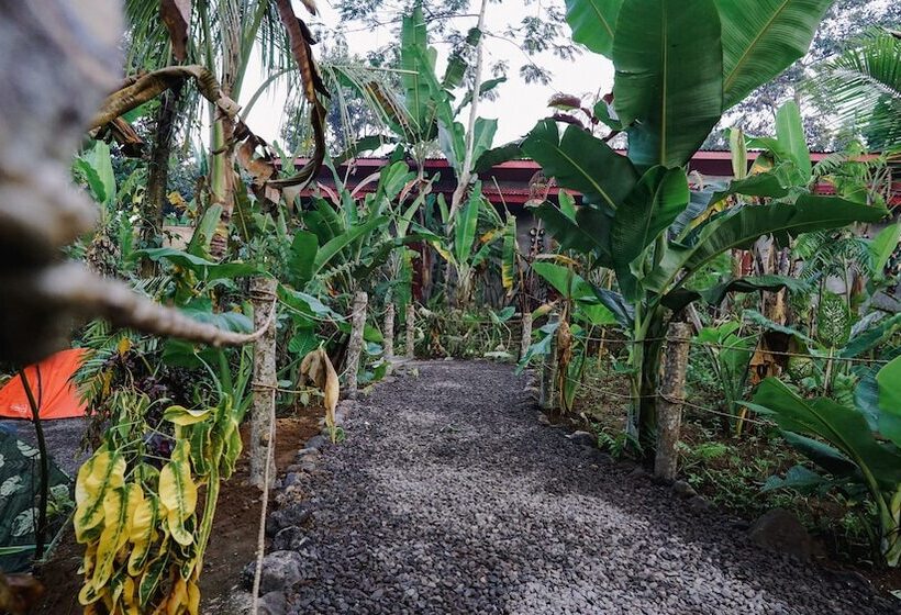 אתר נופש Daydream Lodge