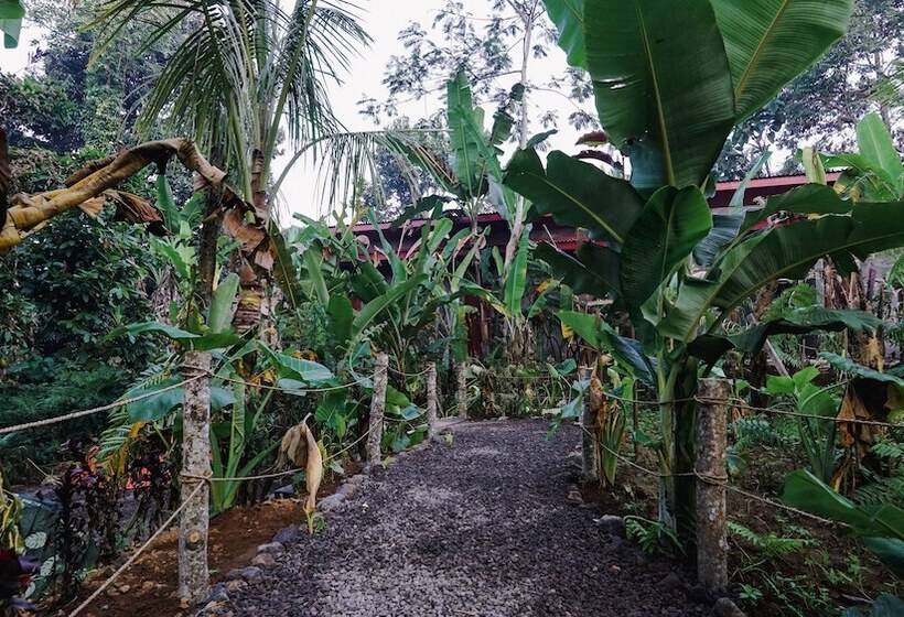 אתר נופש Daydream Lodge