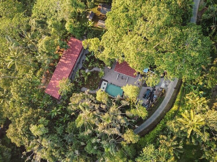 אתר נופש Daydream Lodge