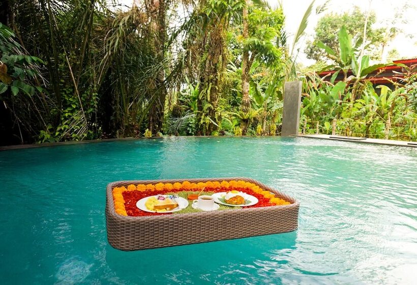 אתר נופש Daydream Lodge