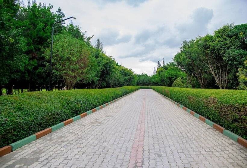 تختخواب و صبحانه Eden Highlands