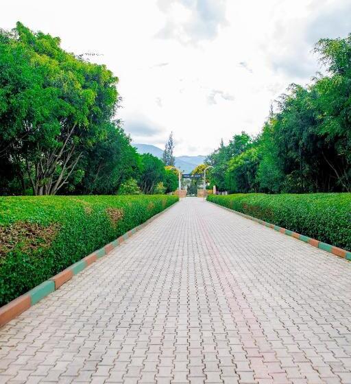 تختخواب و صبحانه Eden Highlands