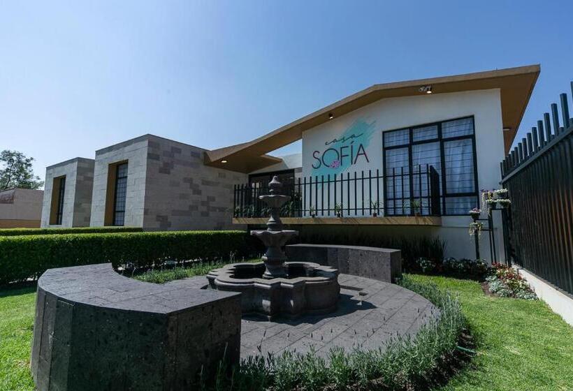 فندق Casa Sofía