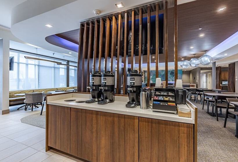 בית מלון כפרי Springhill Suites By Marriott Detroit Sterling Heights