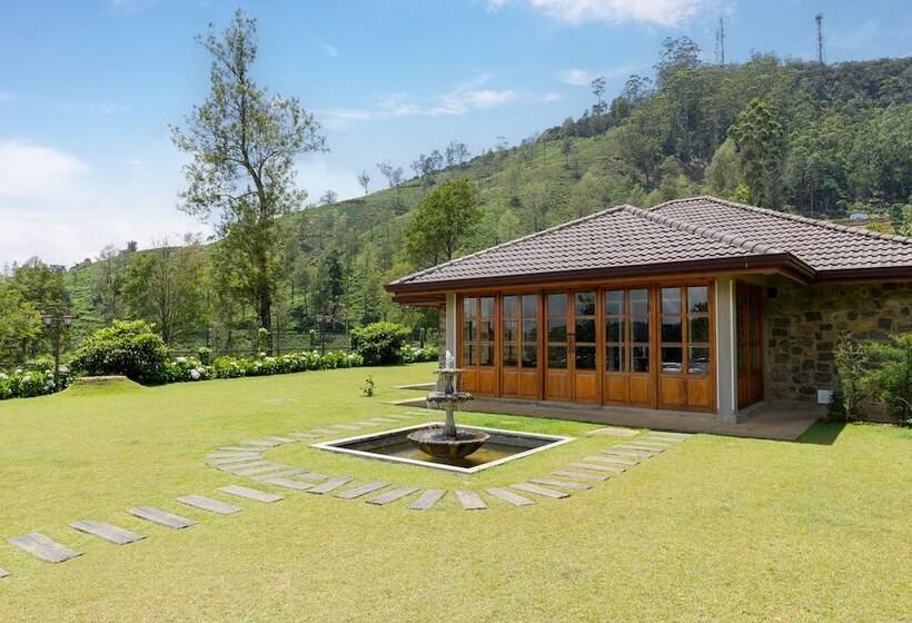 酒店 The Bellwood Manor