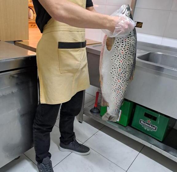 בית מלון כפרי Vila Ilir