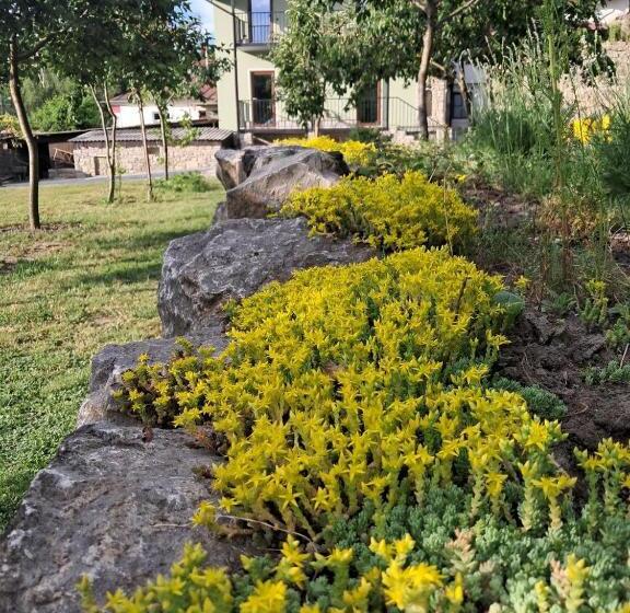 پانسیون гостьовий дім білий пацюк