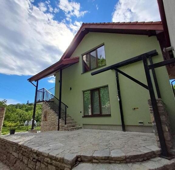 پانسیون гостьовий дім білий пацюк