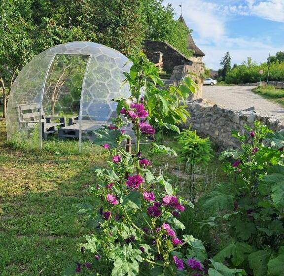 پانسیون гостьовий дім білий пацюк