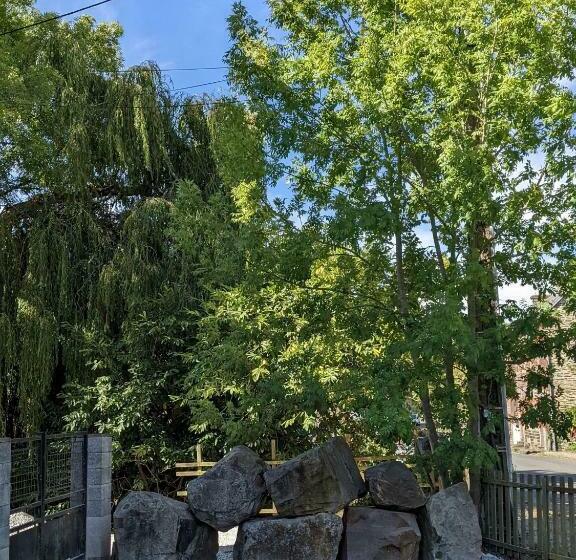 بنسيون Le Metropolitain