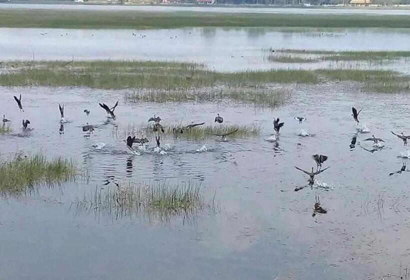 Resort บ้านทุ่ง เคียงบึง รีสอร์ท